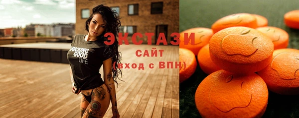 гашик Осинники