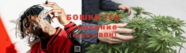 гашик Осинники