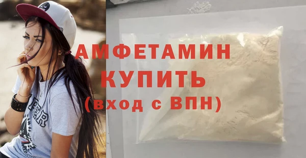 гашик Осинники