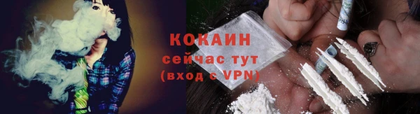 гашик Осинники