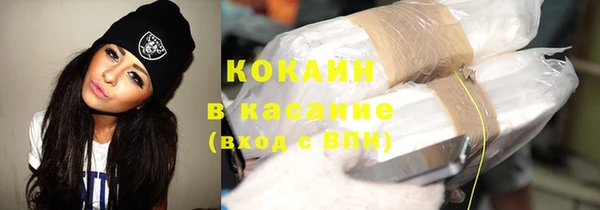 гашик Осинники