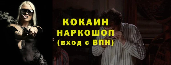 гашик Осинники