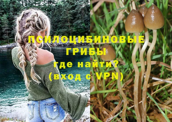 прущая мука Осташков