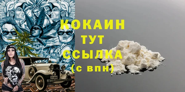 гашик Осинники