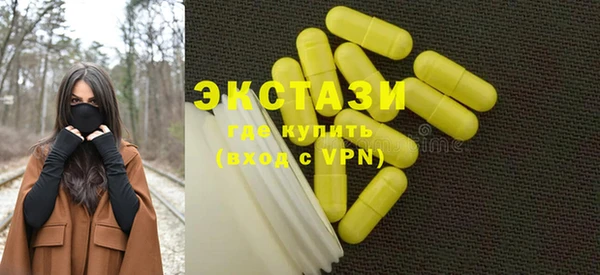гашик Осинники