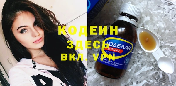 гашик Осинники
