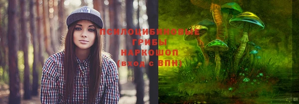 гашик Осинники