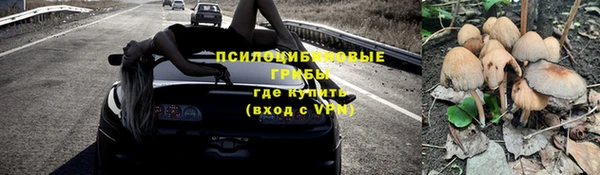 прущая мука Гатчина