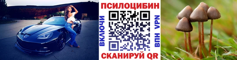 mega сайт  Полярные Зори  Галлюциногенные грибы мицелий  наркотики 